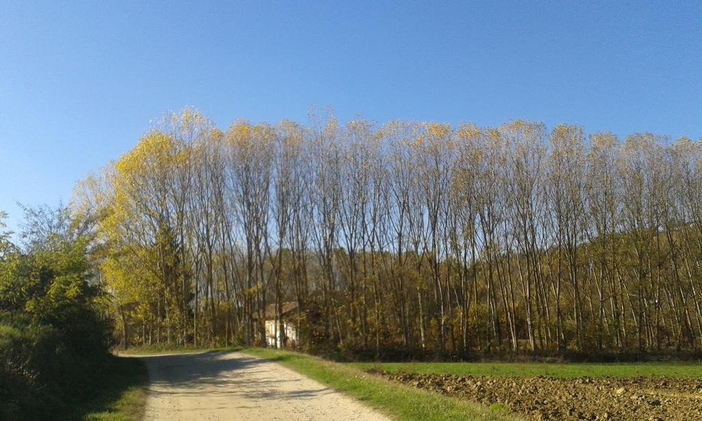 Vista Sul Patrimonio Dell'Unesco Cortiglione Екстериор снимка